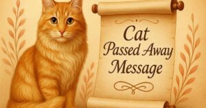 Cat Passed Away Message