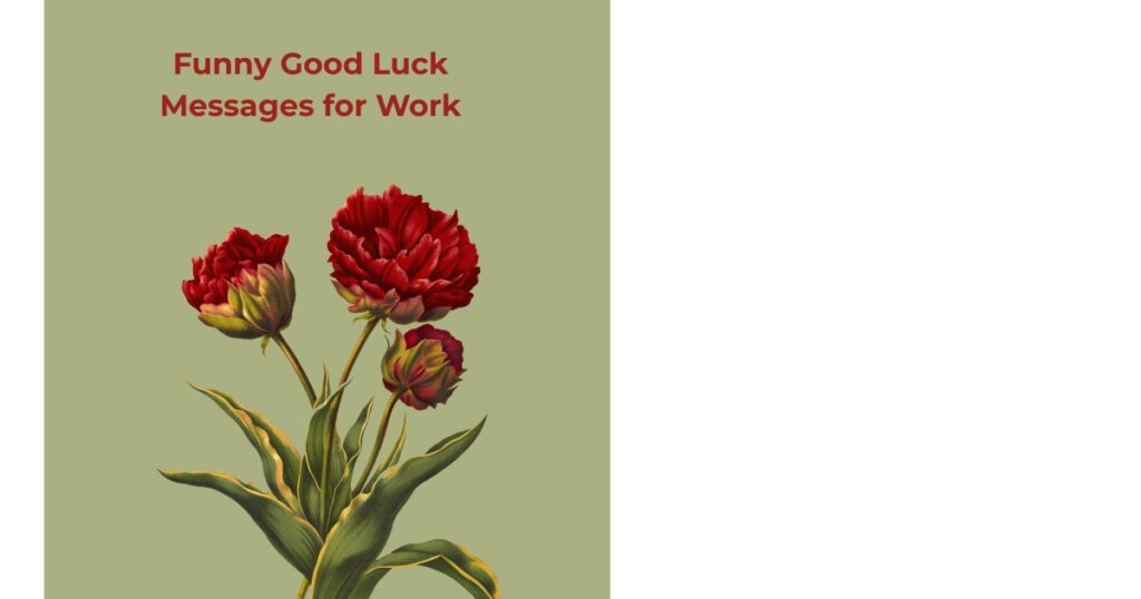 Funny Good Luck Messages for Work