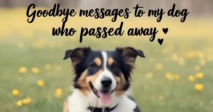 Goodbye Messages to My Dog Who Passed Away