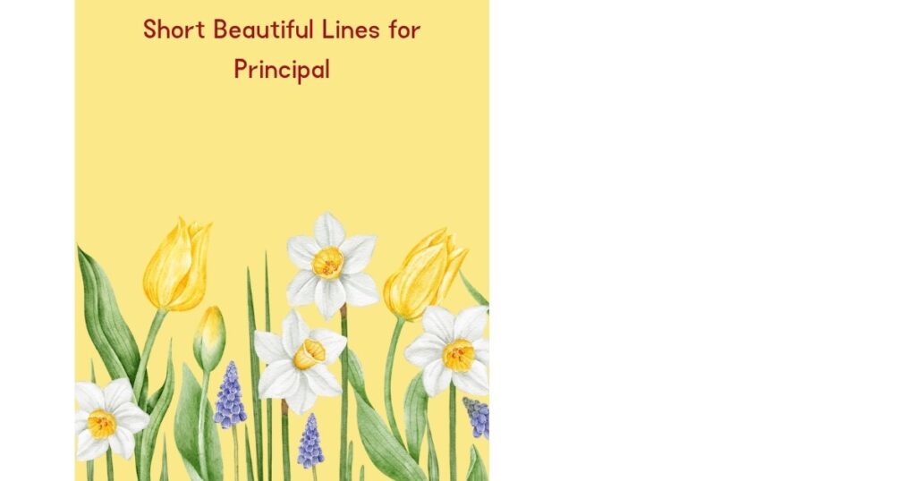 Short Beautiful Lines for Principal