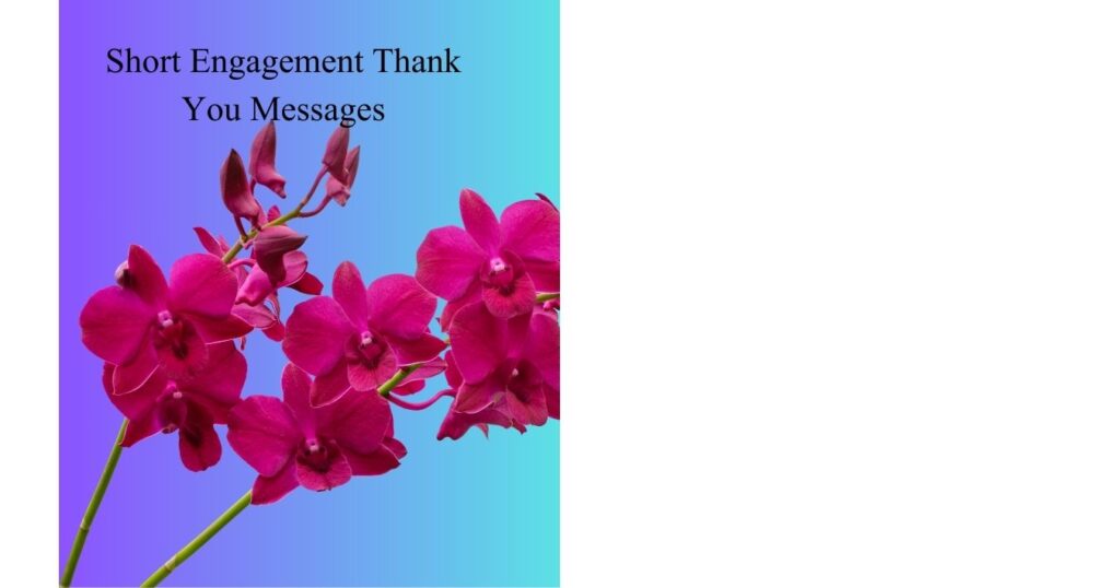 Short Engagement Thank You Messages