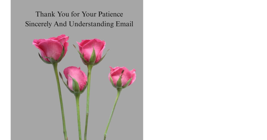 Thank You for Your Patience Sincerely And Understanding Email