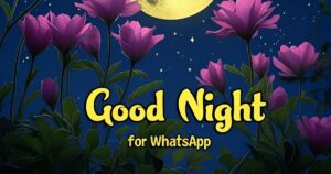 Good Night messages for WhatsApp